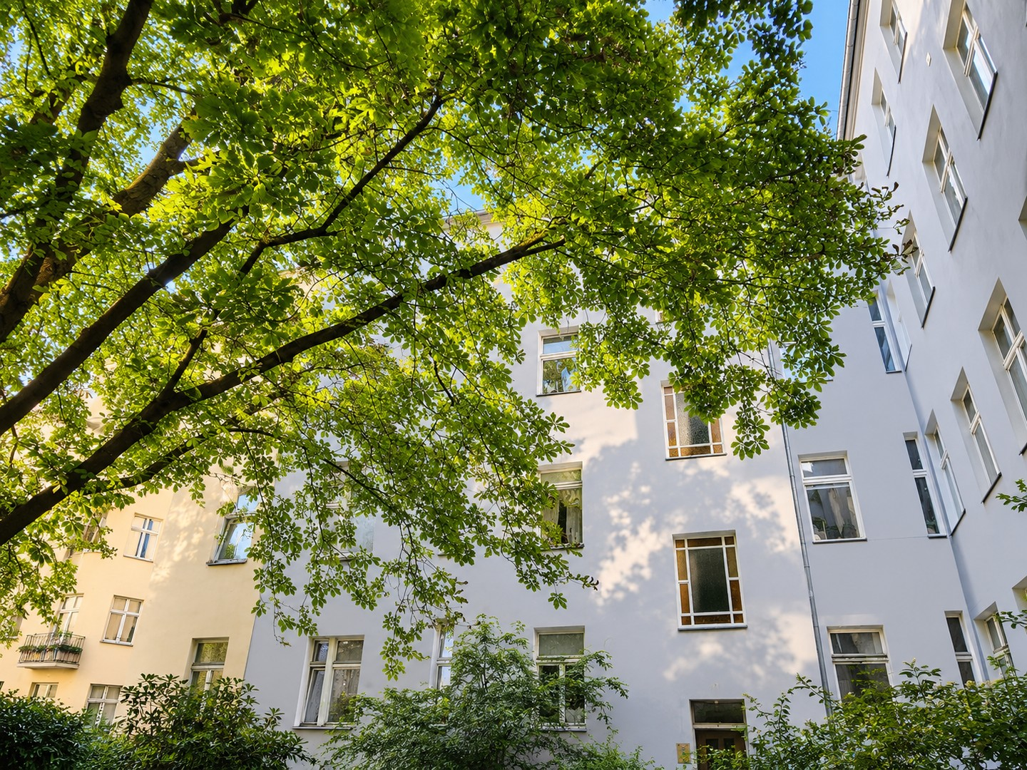 grüner Innenhof