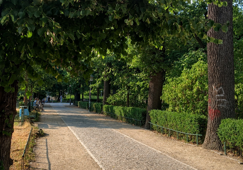 Arnimplatz