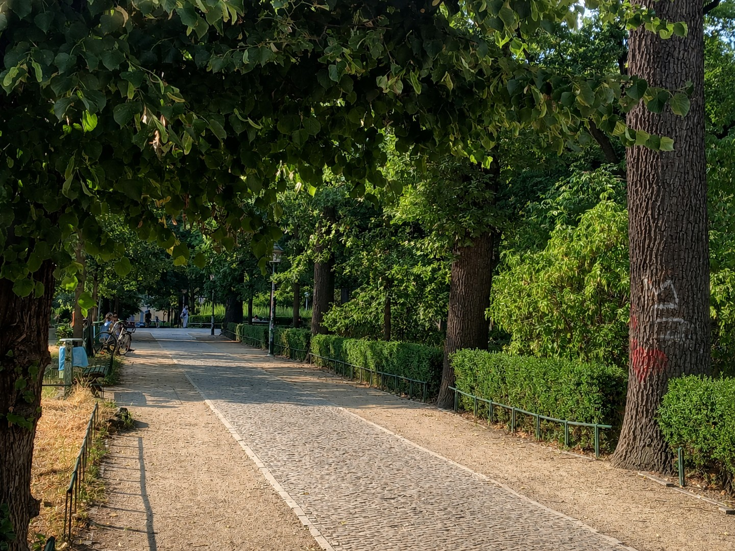 Arnimplatz