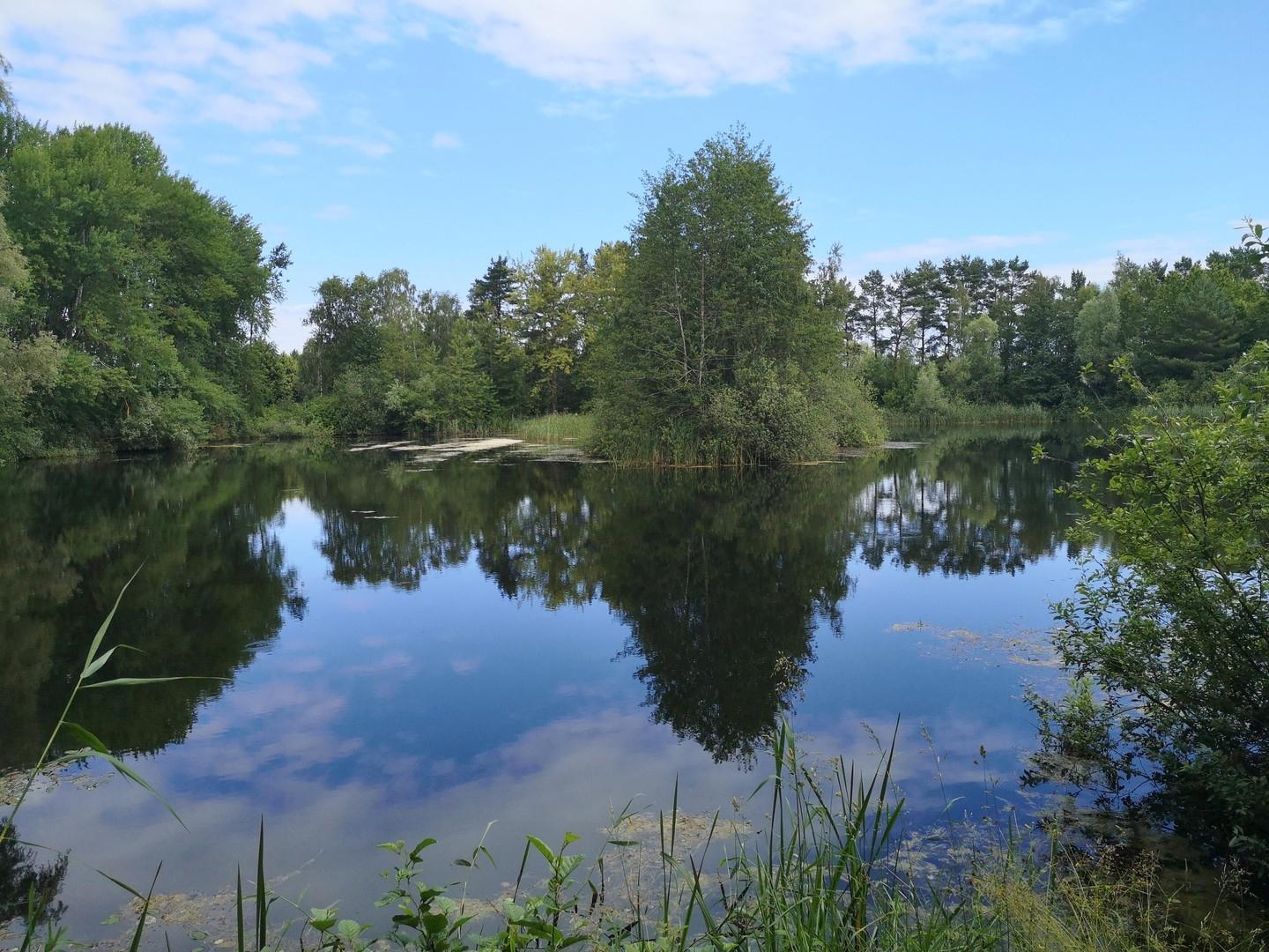 Tonkuhlen Seen 800m entfernt