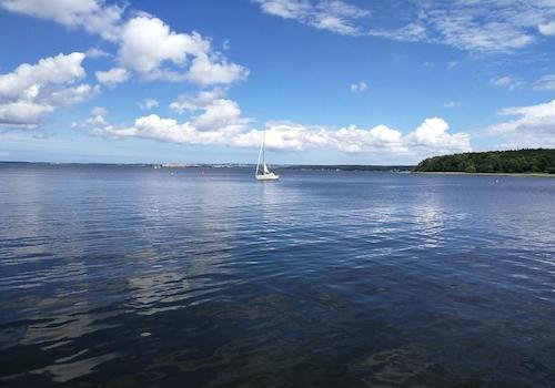 Saaler Bodden
