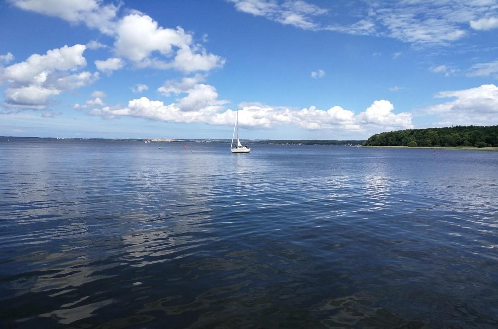 Saaler Bodden
