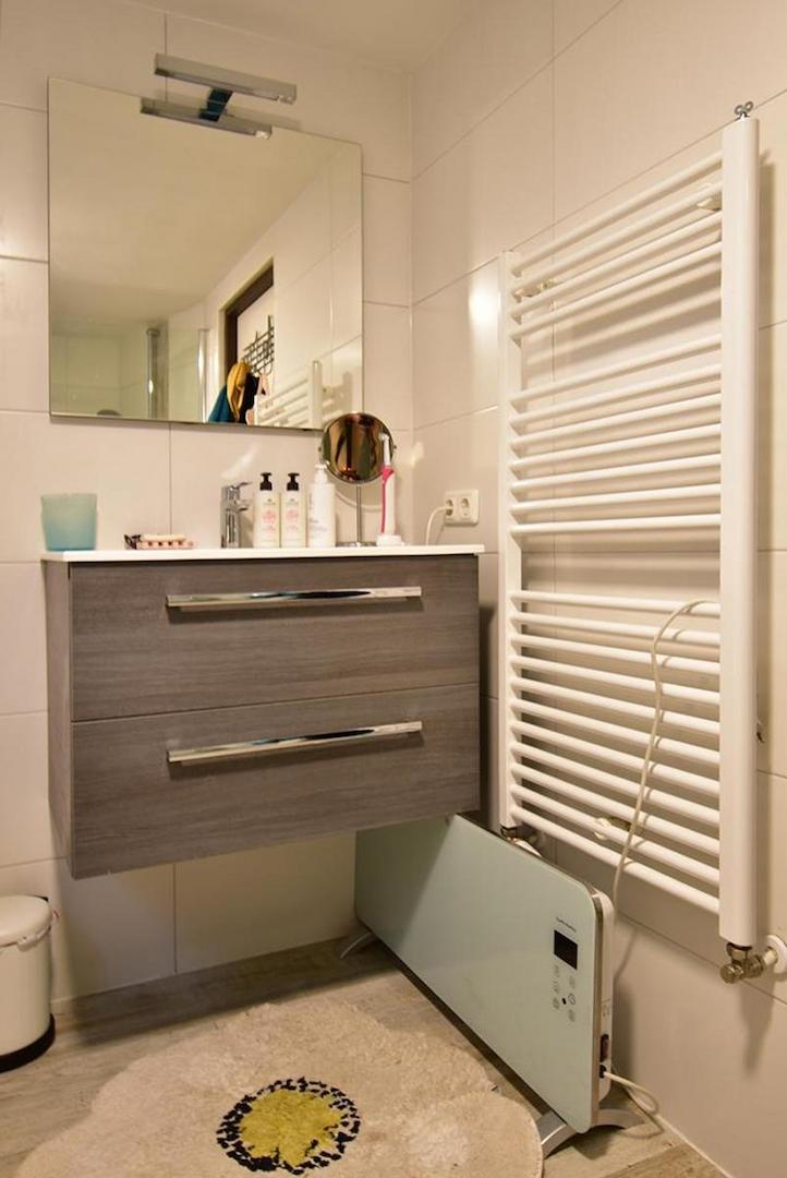 kaufen-freistehendes-ferienhaus-doornspijk-badezimmer-oben-waschtisch-designheizkoerper-recreatieadviseurs-vakantiehuistekoop-nl-30.jpg