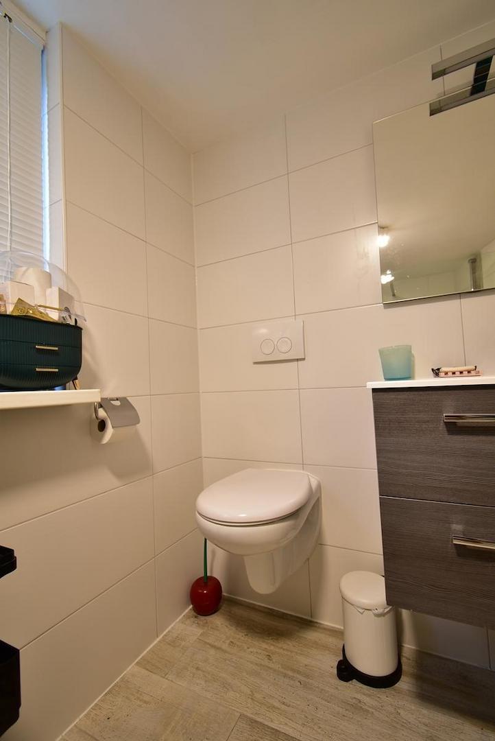 kaufen-freistehendes-ferienhaus-doornspijk-toilette-badezimmer-oben-hänge-wc-recreatieadviseurs-vakantiehuistekoop-nl-31.jpg
