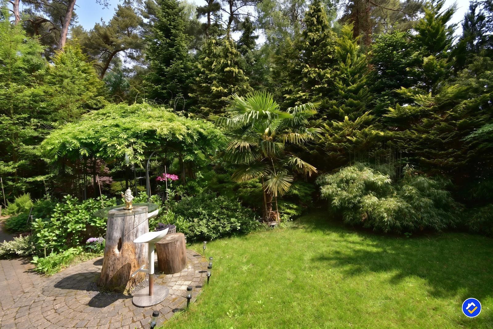 kaufen-freistehendes-ferienhaus-doornspijk-waldgarten-baumstamm-stehtisch-recreatieadviseurs-vakantiehuistekoop-nl.jpg