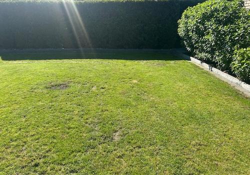 Garten2