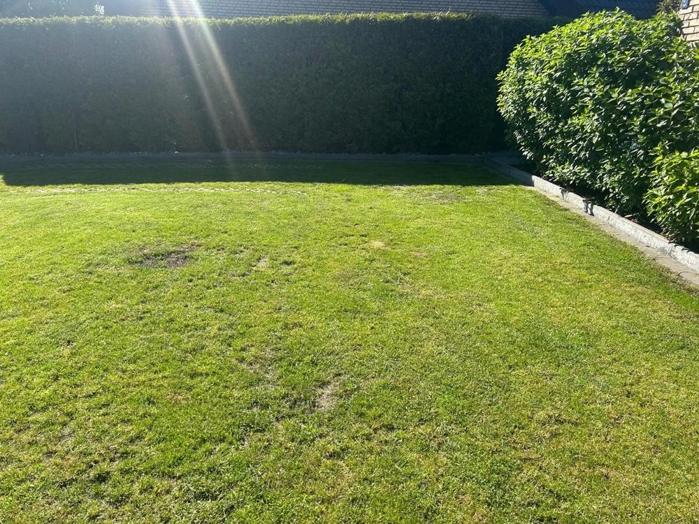 Garten2