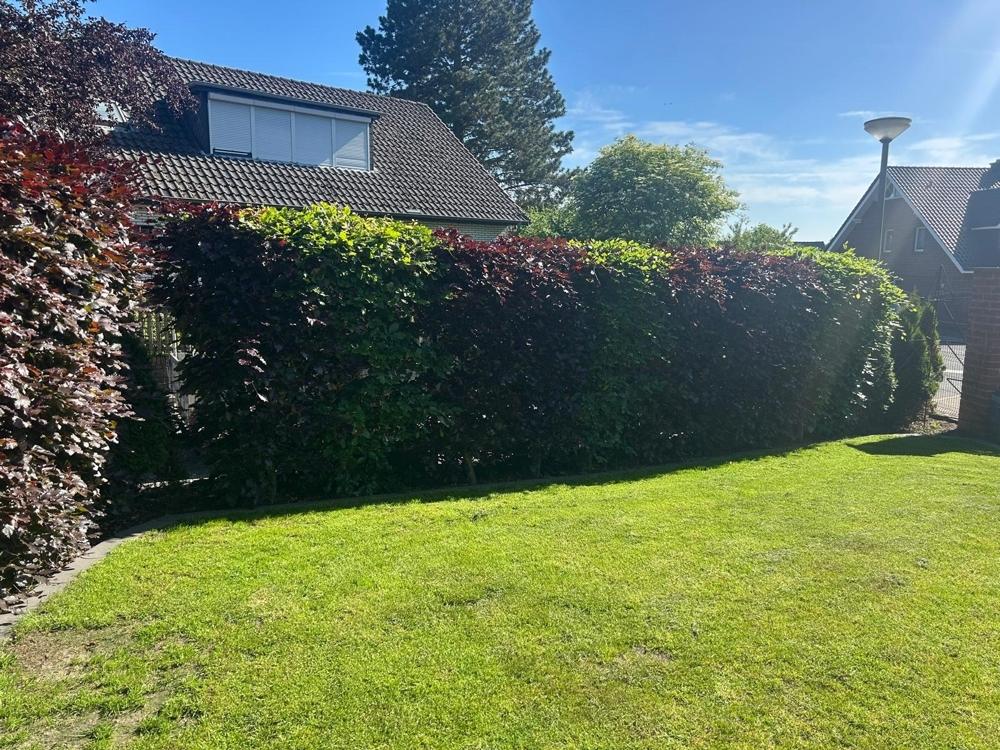 Garten4