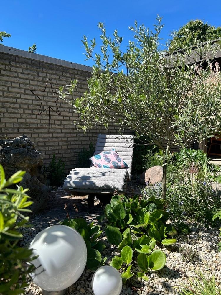Garten6