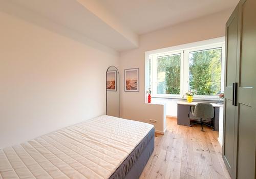 Zimmer3.1