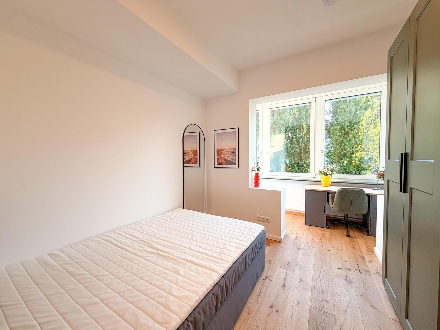 Zimmer3.1