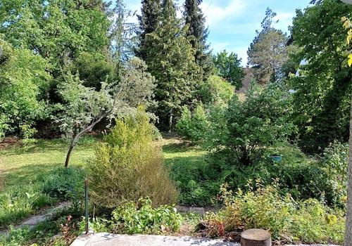großer Garten