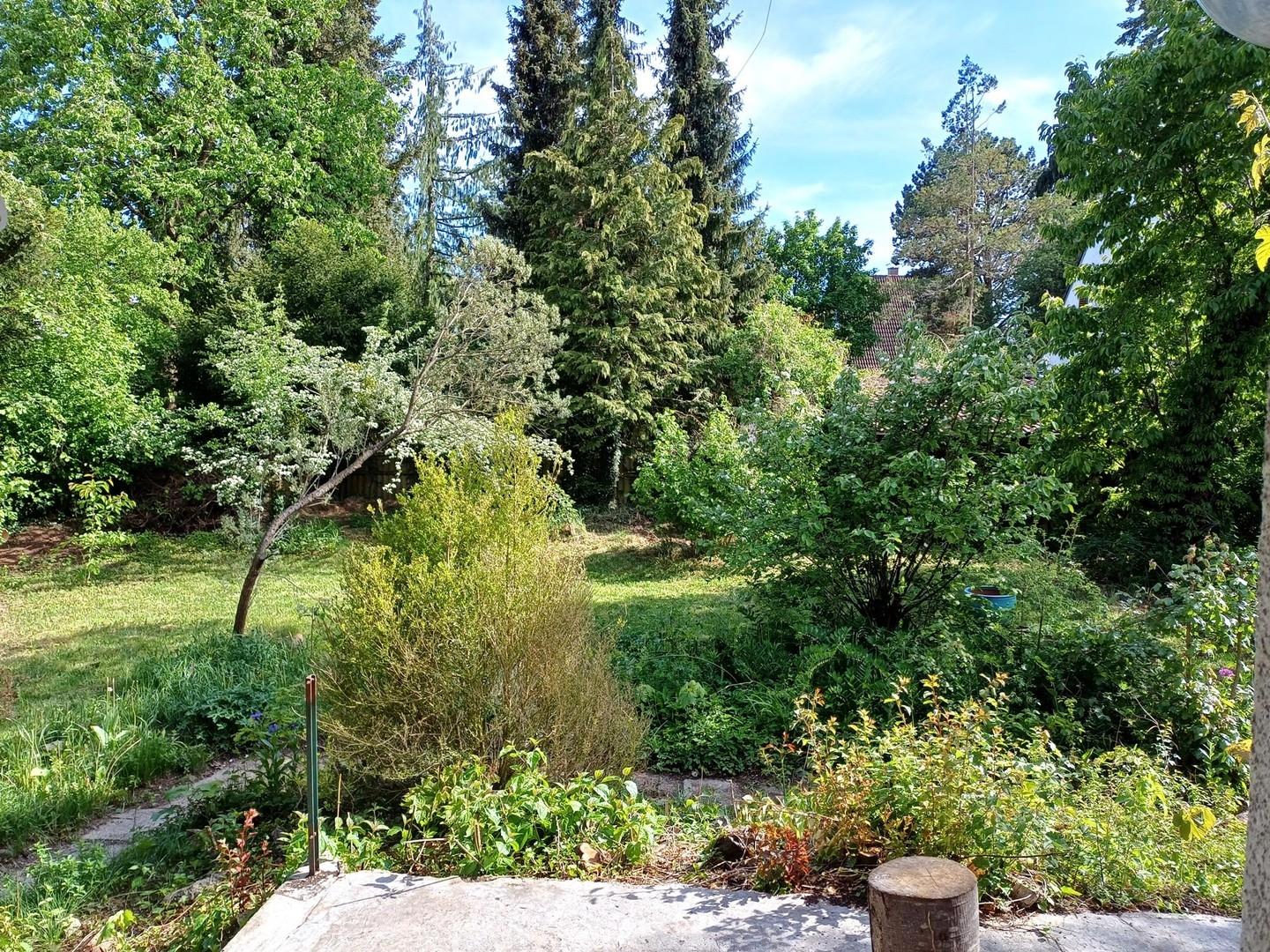 großer Garten