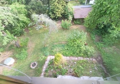 Blick in den Garten