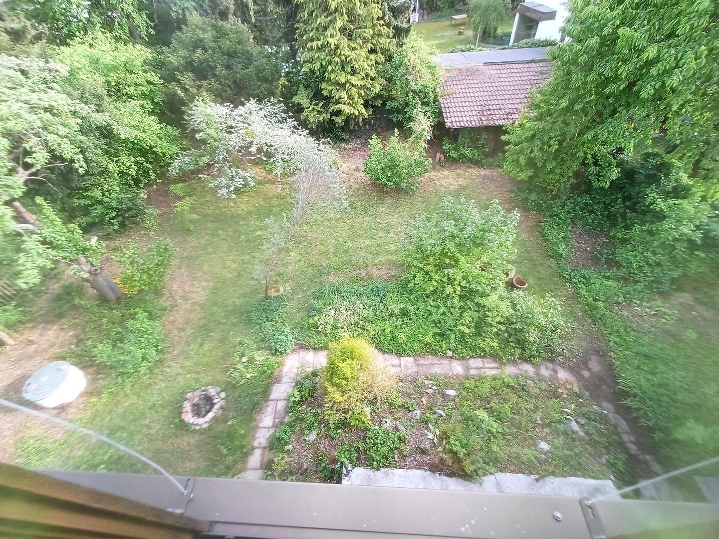 Blick in den Garten