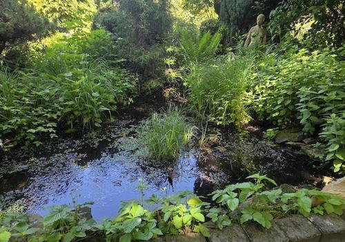 Teich