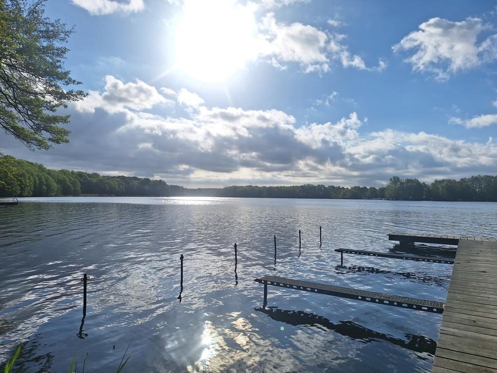Umgebung Schwielochsee