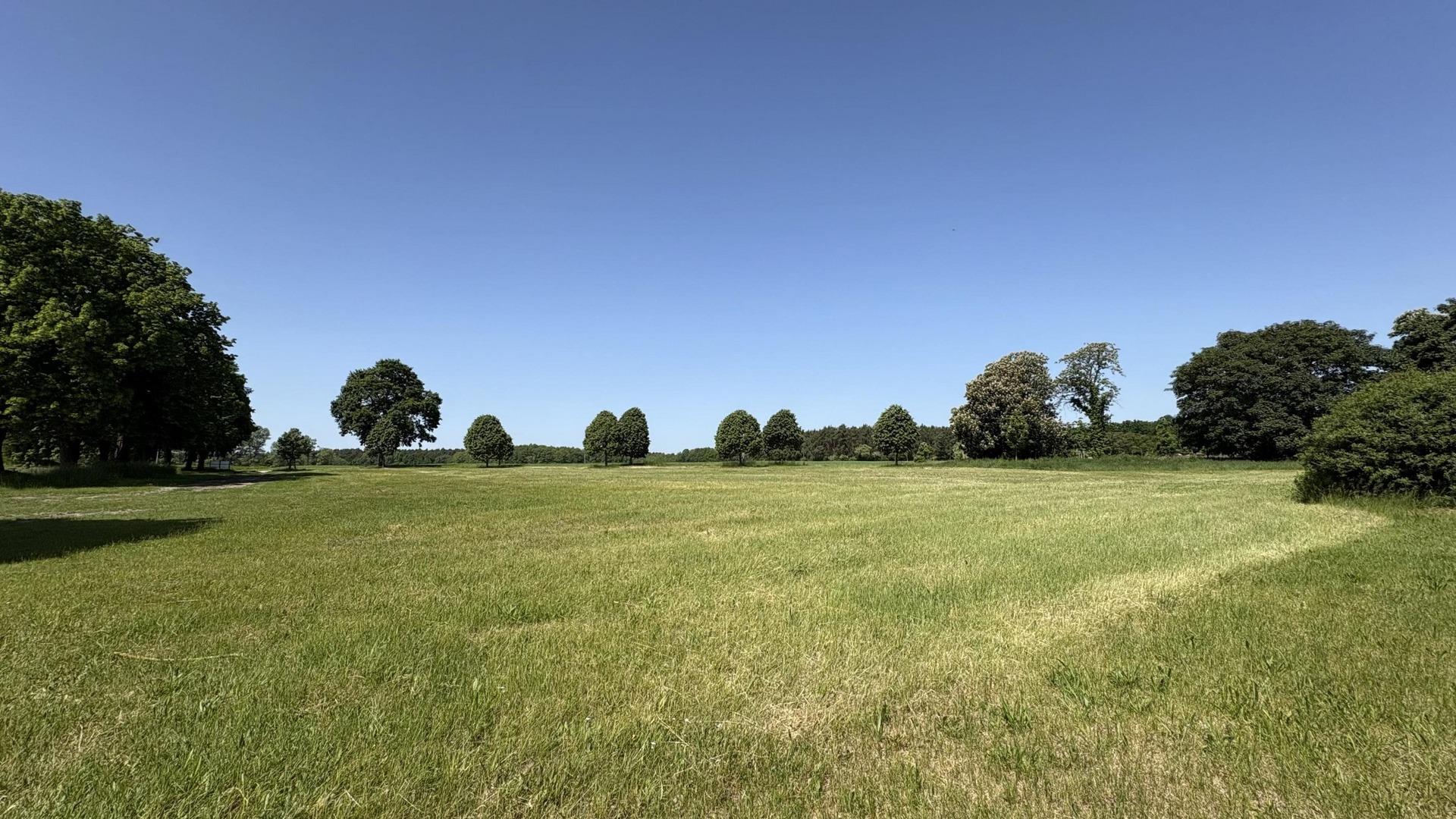 Blick auf das benachbarte Feld