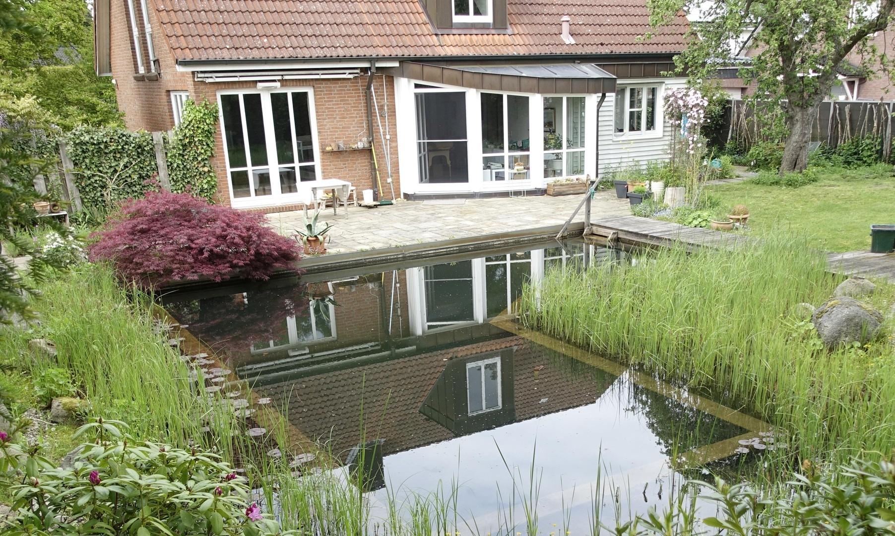 Gartenansicht mit Schwimmteich