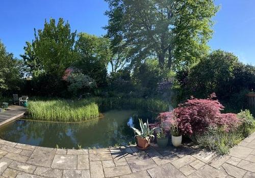 Garten mit Schwimmteich