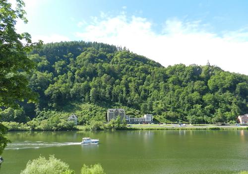 Blick gegenüberliegendes Moselufer