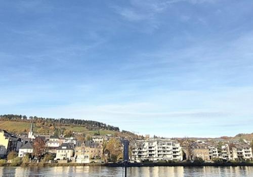 Panorama Moselufer