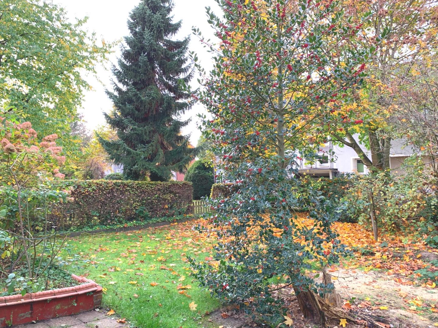 Großer Garten