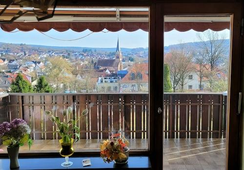 Südbalkon mit Ausblick OG