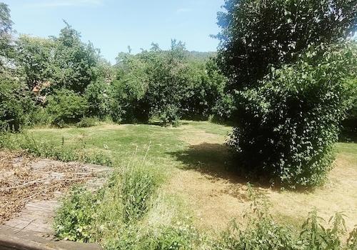 der dazugehörige Garten