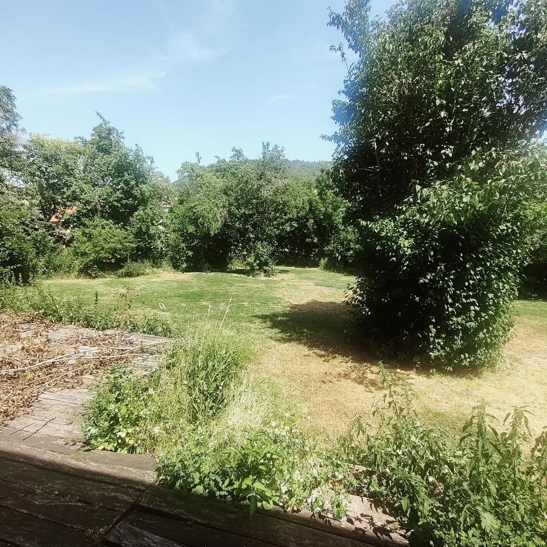 der dazugehörige Garten