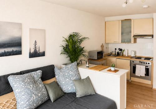 Wohnraum mit Küche