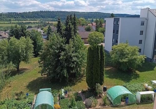 Aussicht in den  Garten 