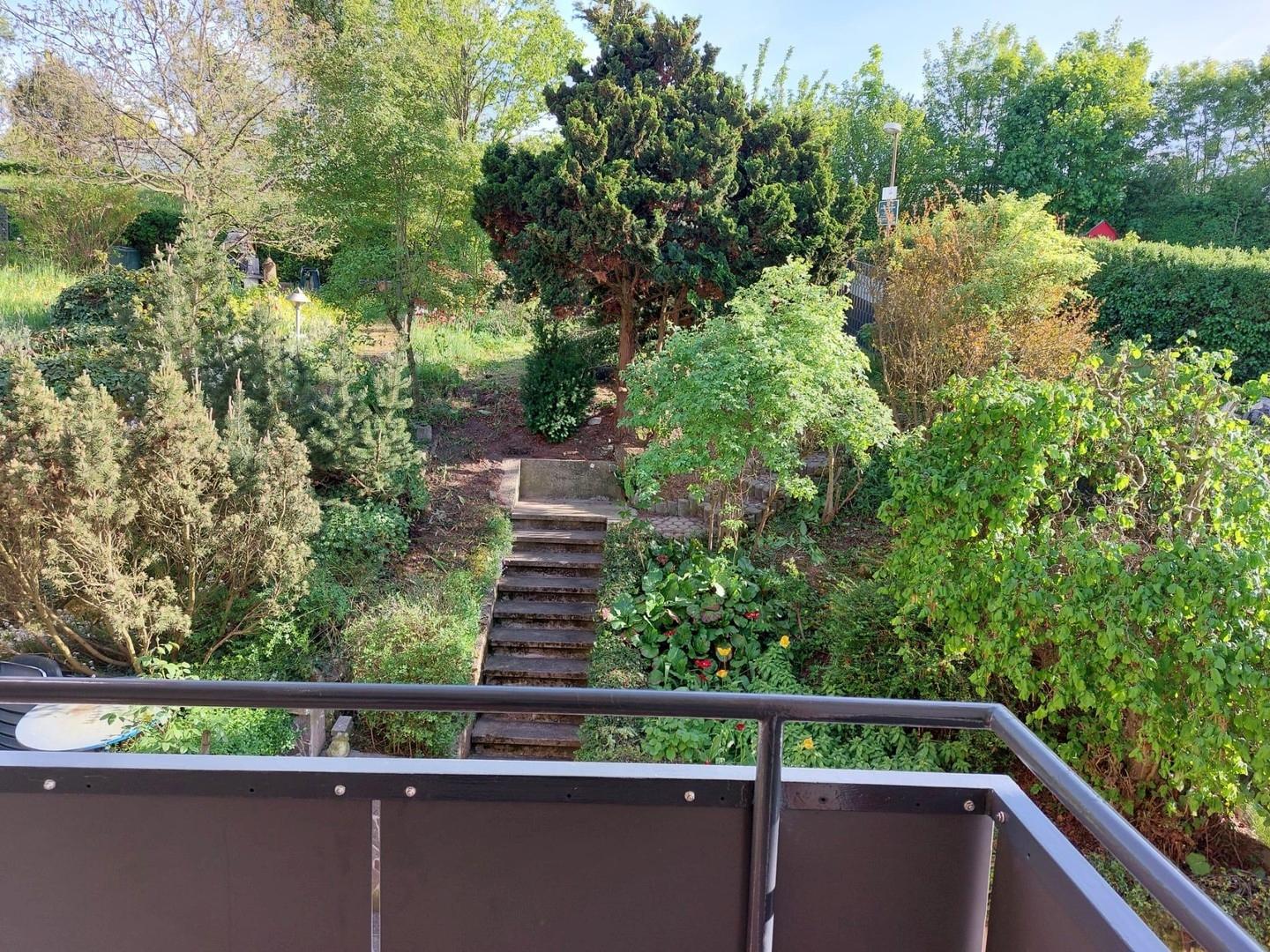 Blick vom Balkon in den Garten