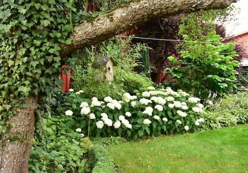 Gartenanlage