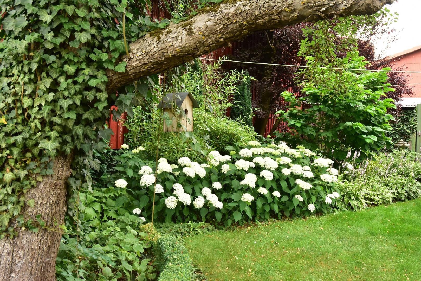 Gartenanlage