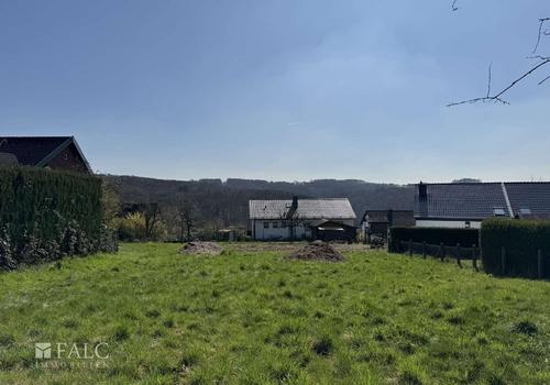 Blick vom vorderen Grundstück