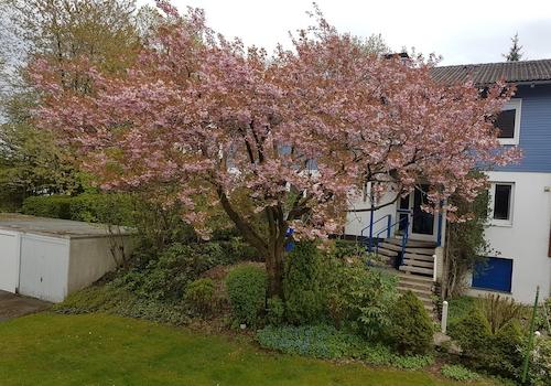 Gartenblick 