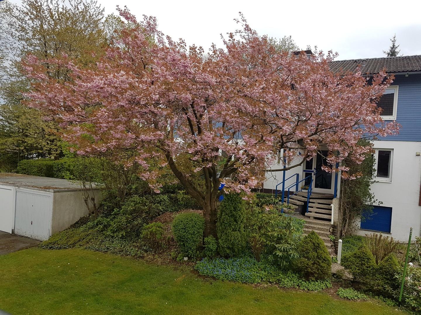 Gartenblick 