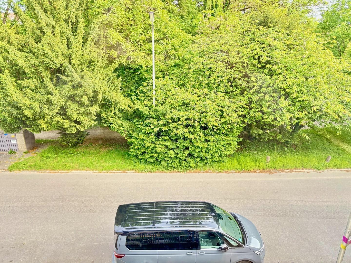 Blick in den Park
