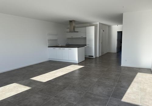Wohnzimmer / Küche