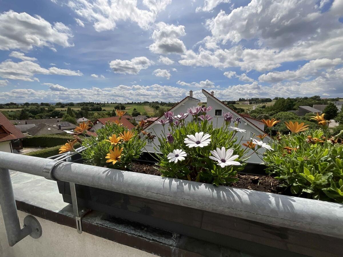 Ausblick_www.villingen.immobilien