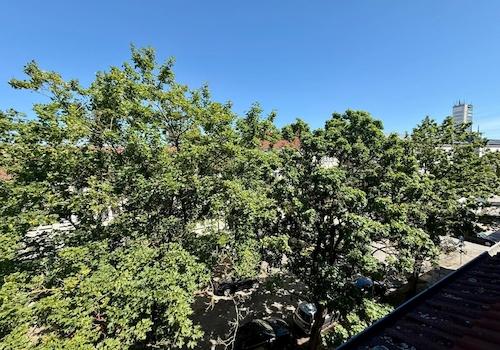Ausblick Küche Kulturfinger