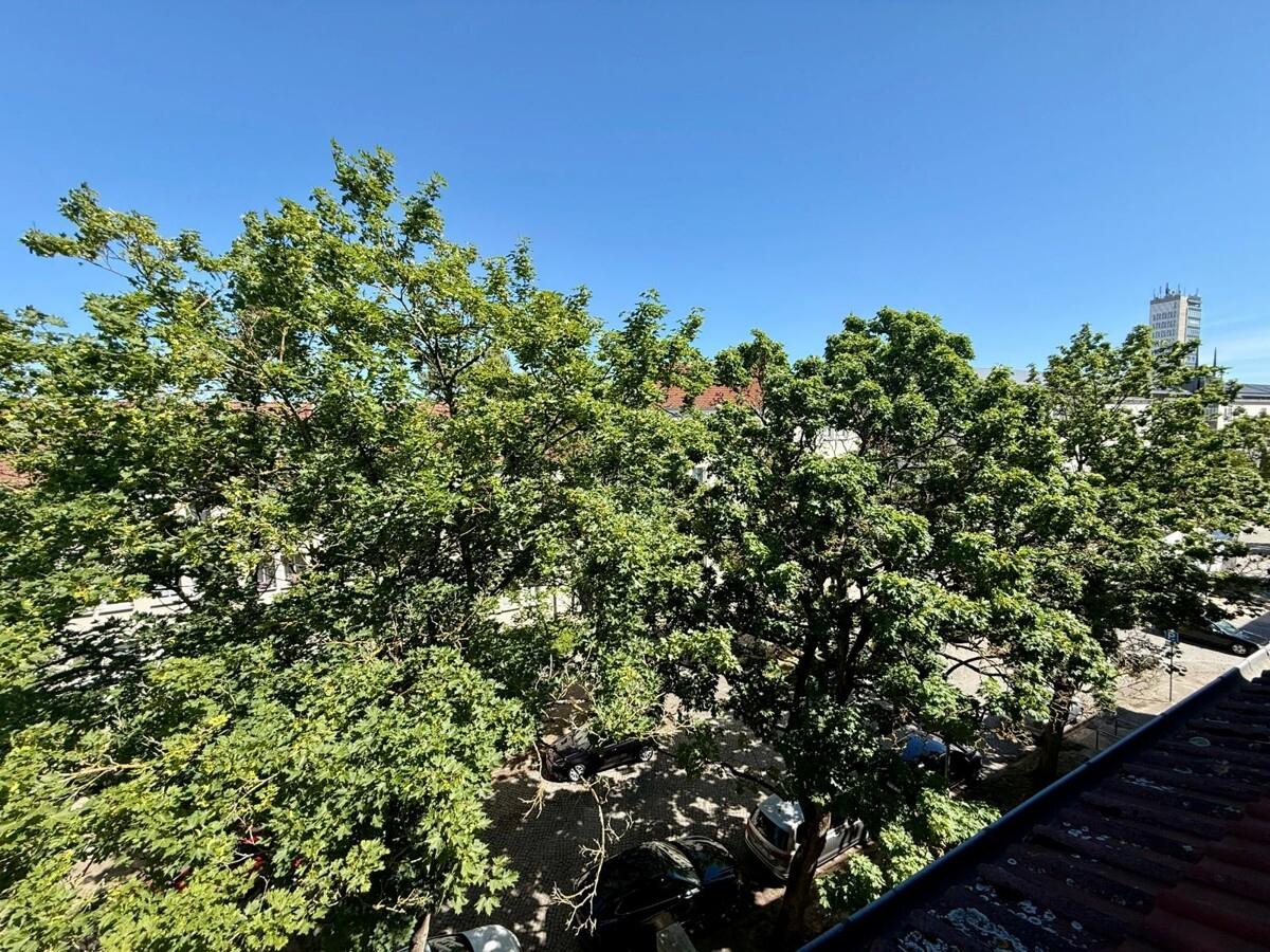 Ausblick Küche Kulturfinger