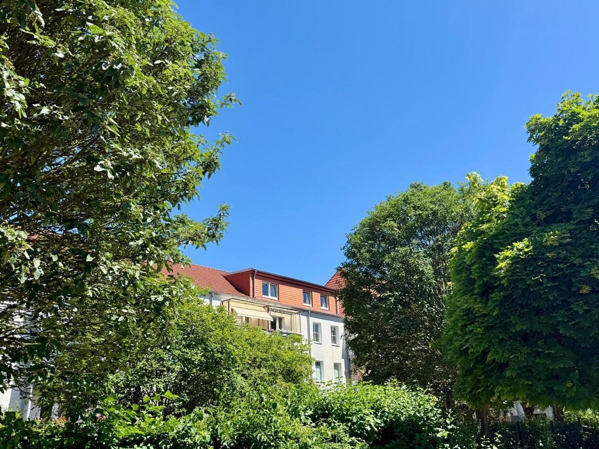 Rückseite