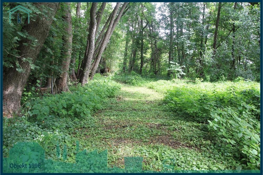 Viel Grün und Ruhe