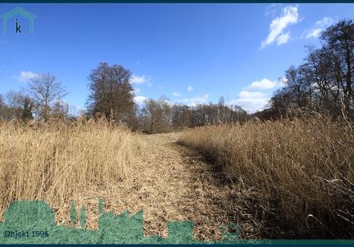  Weg zum See