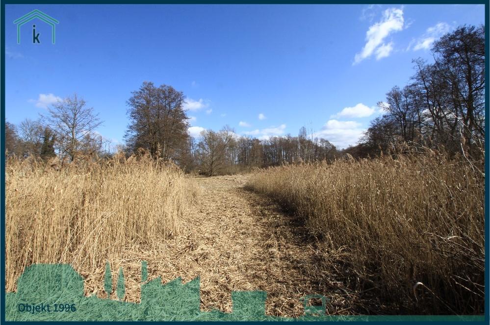  Weg zum See