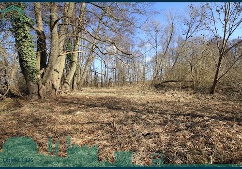  Weg zum See II