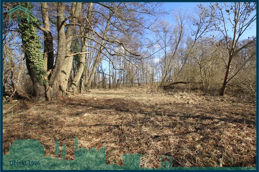  Weg zum See II