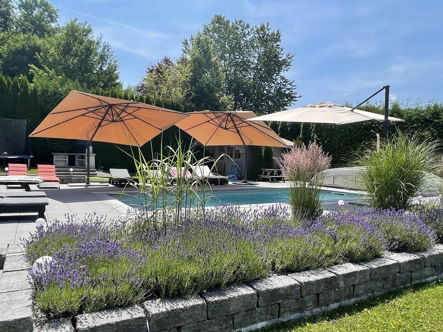 Pool m. Terrasse 